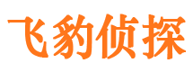 河津外遇调查取证